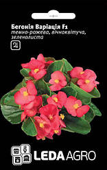 Насіння Бегонія Варіація F1 темно-рожева зеленолистая 10шт ТМ LEDAAGRO