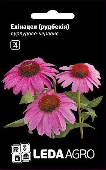 Насіння Ехінацея пурпурно-червона 0,1 г LEDAAGRO