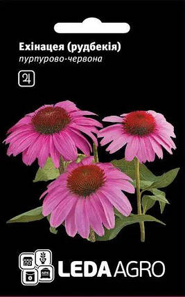 Насіння Ехінацея пурпурно-червона 0,1 г LEDAAGRO, фото 1