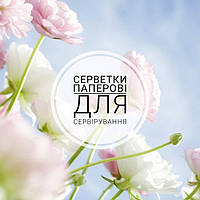 Серветки барні, косметичні, сервірувальні банкетні