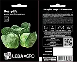 ВЕСТРІ F1 15 ШТ LEDA AGRO КАПУСТА БІЛОКАЧАННА НАСІННЯ (ВЕСТРІ F1 КАПУСТА БІЛОКАЧАННА СЕРЕДНЬО-РАННЯ НАСІННЯ), фото 2