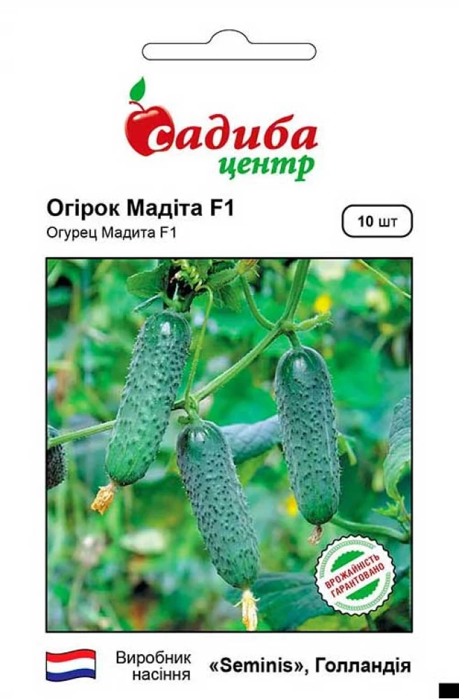 Огірок Мадіта F1, 10 шт., СЦ