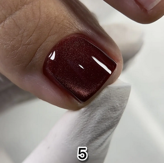 Гель лак Saga - Wine cat 5 Котяче око Wine cat 10 мл, фото 1