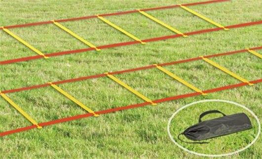 Тренувальні драбини Spartan Sport 2 шт 6 м, фото 1