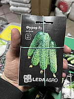 ОГІРОК ФУРОР F1, БУКЕТНІЙ, 10 ШТ (ЛАН)