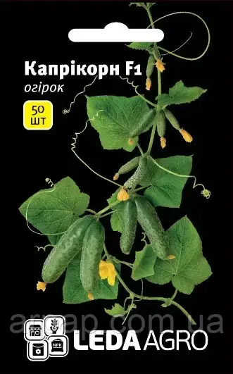 КАПРІКОРН F1, БУКЕТНІЙ, 50 ШТ (ЛАН), фото 1