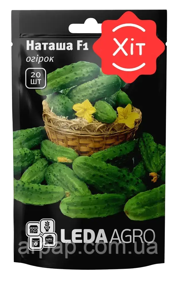 НАТАША F1 20 ШТ (ЛАН), фото 1