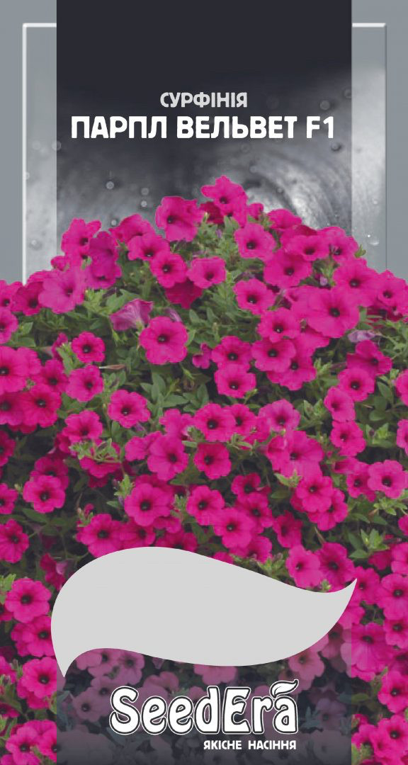 Петунія Ампельна Парпл Вельвет F1 10 насінин Seedera, фото 1