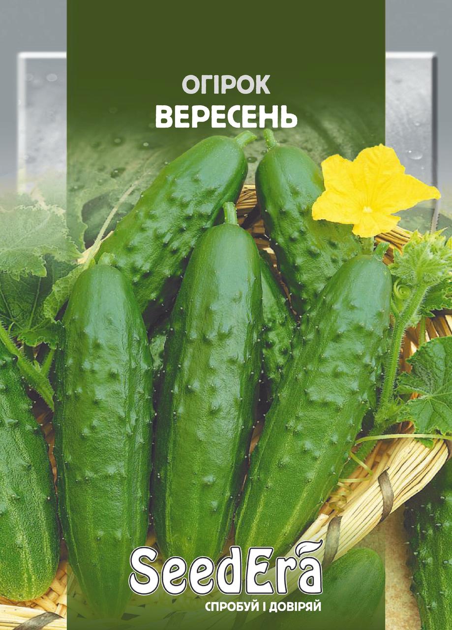 Насіння Огірка Вересень Seedera, 10 г