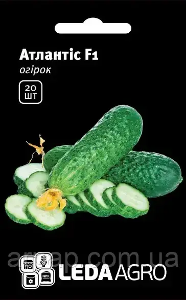 АТЛАНТІС F1 20 ШТ (ЛАН), фото 1