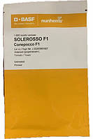 Томат Солороссо F1 1000 н. Nunhems Zaden, Нідерланди