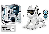 Радіокерована собака, Робот собака на радіокеруванні, Іграшка собака робот на пульті управління, фото 3