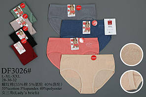 Трусики спідня білизна «Шортики Кошенята» 46-52 (3026)