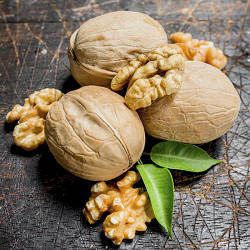 Новинка! Волоський горіх "Джекпот" (високоурожайний сорт)