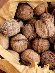 Новинка!Волоський горіх "Місячний камінь" (крупноплідний, тонкошкірий сорт)