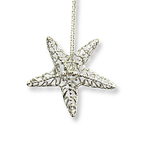 Іонізатор води «Зірка» зі срібла 925 проби