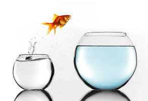 Персональні трансформації, саморозвиток