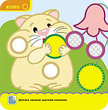 Книга Крихітка. Форми (АССА), фото 2