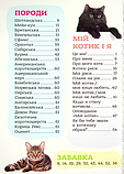 Книга Я люблю котиків. (Зірка), фото 4