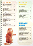 Книга Я люблю котиків. (Зірка), фото 5
