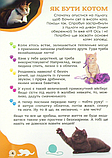 Книга Я люблю котиків. (Зірка), фото 6