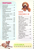 Книга Я люблю песиків. (Зірка), фото 4