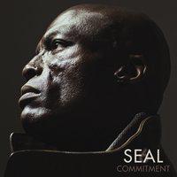 CD-Диск Seal - VI Commitment