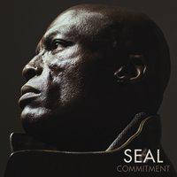 CD-Диск Seal - VI Commitment