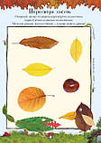 Книга Ґруффало. Осінніми та зимовими стежками. Автор - Джулія Дональдсон (Читаріум), фото 4