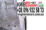 Двигун Nissan Qashqai J10 X-Trail T31 2.0i MR20 2006-2013 з Японії в наявності, фото 8