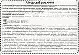 Демонстраційний матеріал НУШ Розповімо дітям. Про лікарські рослини. Демонстраційний матеріал (Укр) Ranok-Crea, фото 11