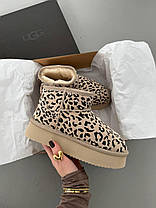 Зимові Жіночі Черевики UGG Classic Ultra Mini Platform Leopard / УГГ Класик Ультра Міні Платформ Бежеві, фото 4