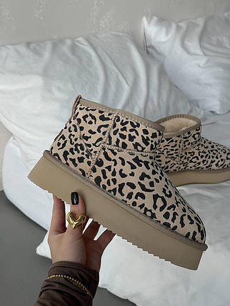 Зимові Жіночі Черевики UGG Classic Ultra Mini Platform Leopard / УГГ Класик Ультра Міні Платформ Бежеві, фото 1