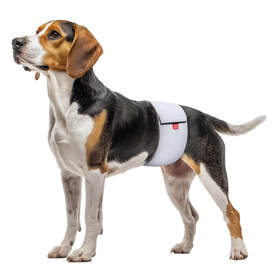 Пояс гигиенический для кобелей WAUDOG Vet на липучке, серый, ХХS, А 26 ...