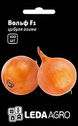 Насіння цибулі золотистої Вольф F1 100 насінин LEDAAGRO