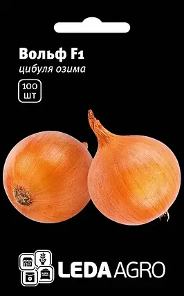 Насіння цибулі золотистої Вольф F1 100 насінин LEDAAGRO, фото 1