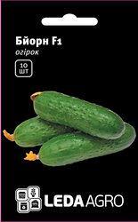Насіння огірка Бйорн F1  10шт  "ЛедаАгро", фото 1