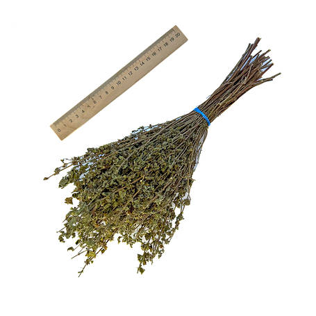 Меліса в пучках, фото 1