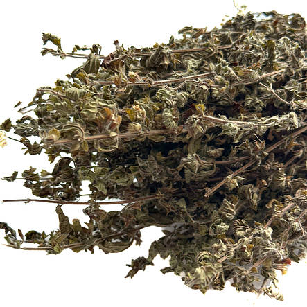 Меліса в пучках, фото 2