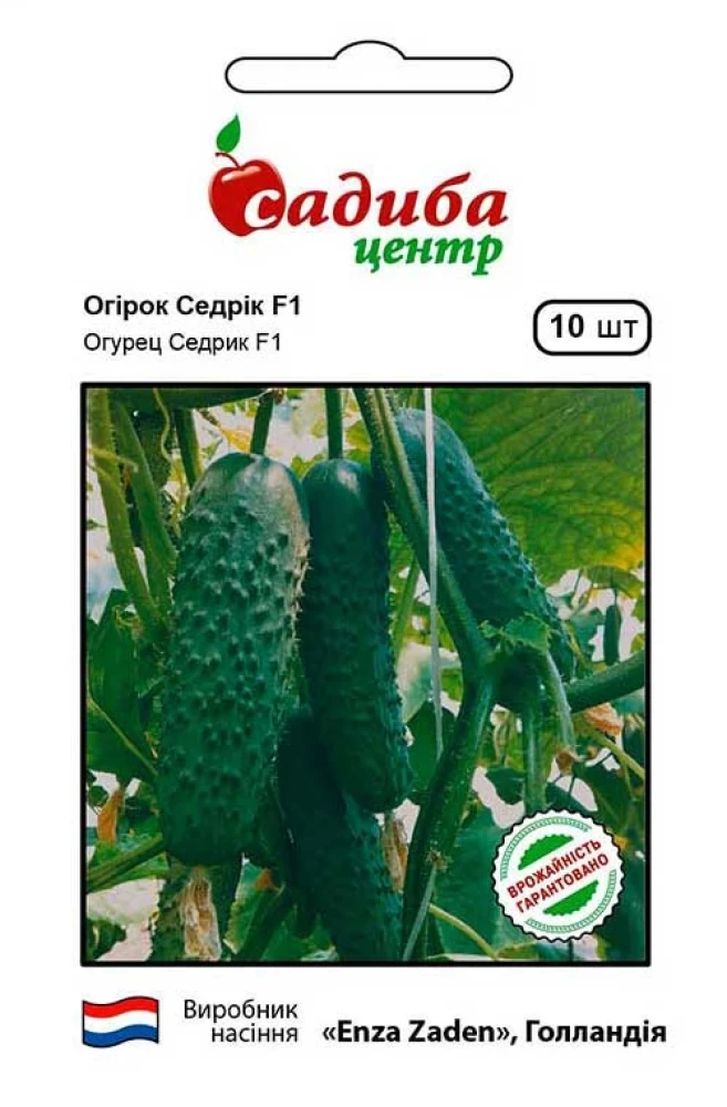 Огірок Седрік F1, 10 шт., СЦ