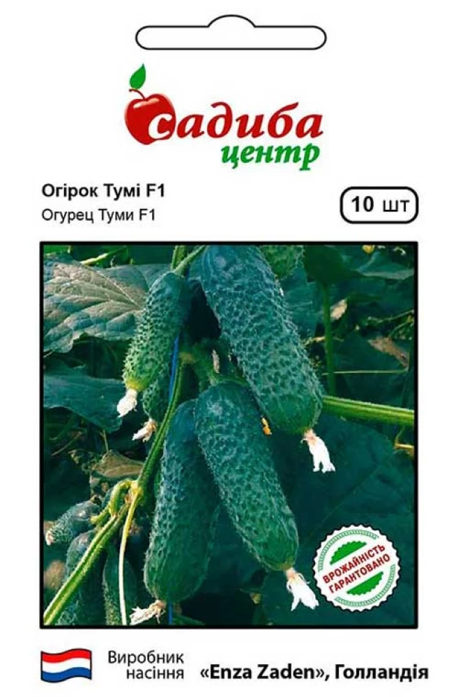 Огірок Тумі F1, 10 шт., СЦ