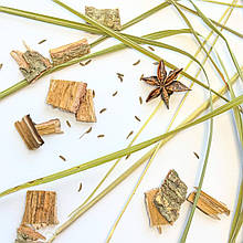 Зубрівка й дуб