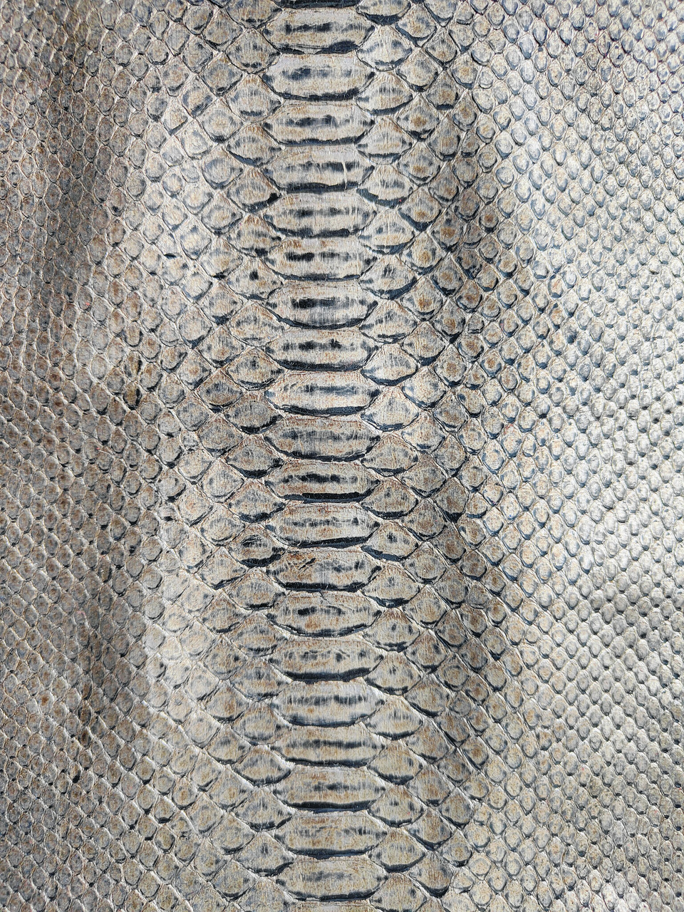 Шкіра пітона, бронза, 1,35 м., КП016