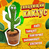 Танцюючий музичний співаючий кактус повторяшка, Танцюючий кактус, Яктус BW-440 повторюшка tiktok, фото 7