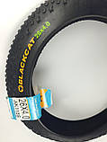 Покришка 26х4.0 Fatbike Black Cat ущільнена, фото 2