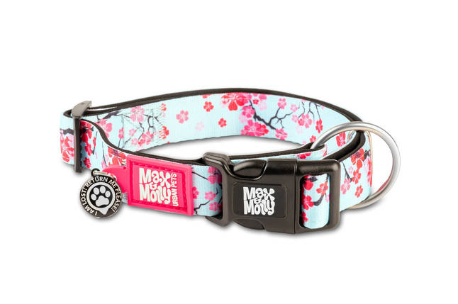 Max & Molly Smart ID Collar Cherry Bloom/S - Нашийник Smart ID з принтом Вишневе цветіння, фото 1
