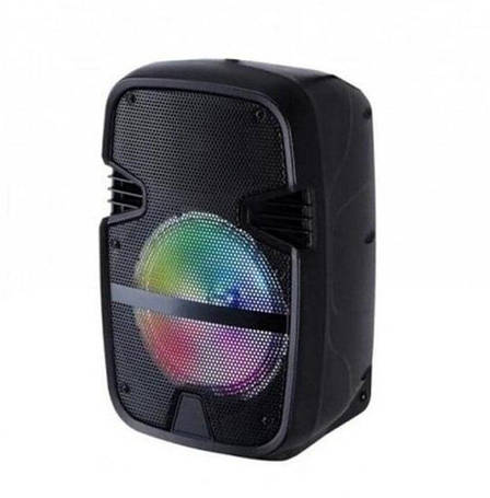 Портативна колонка RGB ND-6008 акустична акумуляторна колонка Bluetooth 3.0 10 Вт, фото 1