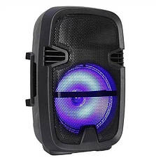 Портативна колонка RGB ND-6008 акустична акумуляторна колонка Bluetooth 3.0 10 Вт, фото 6