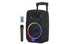 Портативна колонка RGB NDR-W1312 акумуляторна колонка мікрофон пульт Bluetooth: 5.0 12 Вт, фото 3