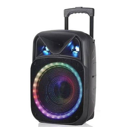 Портативна колонка RGB NDR-W1312 акумуляторна колонка мікрофон пульт Bluetooth: 5.0 12 Вт, фото 1